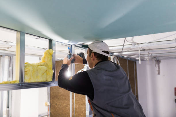 Best Residential Insulation Services  in Niagara University, NY