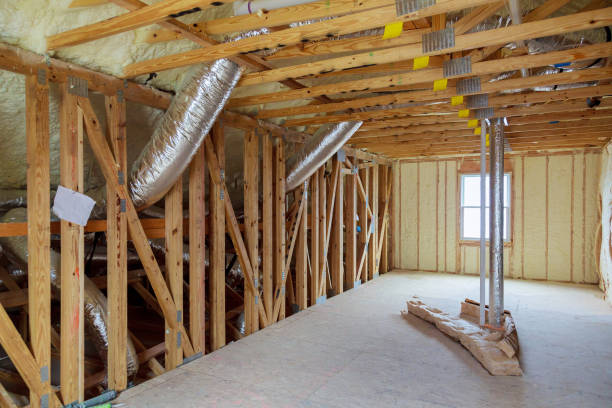 Best Insulation Removal  in Niagara University, NY