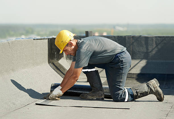 Best Cellulose Insulation  in Niagara University, NY