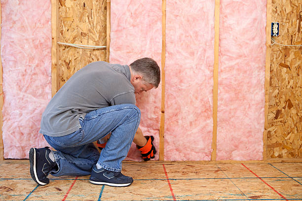 Best Local Insulation Services  in Niagara University, NY
