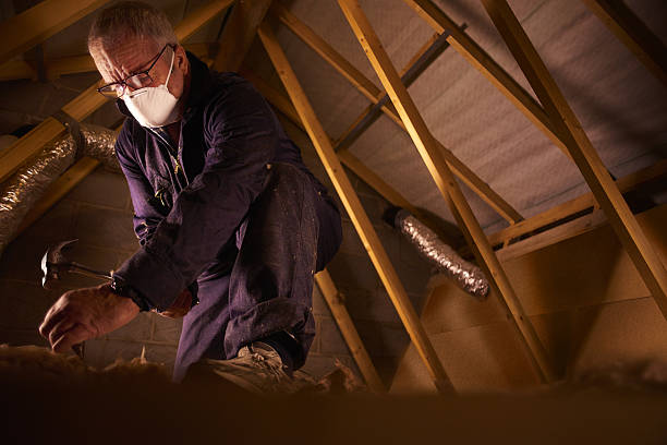 Best Insulation for New Construction  in Niagara University, NY